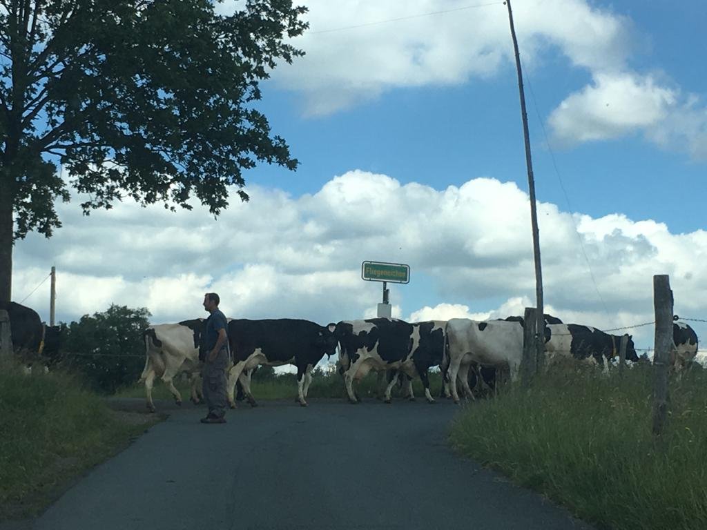 Messdienerfahrt2019_4 (c) T. Nothhelfer